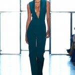 Cushnieet Ochs Fall 2015