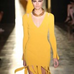 Cushnieet Ochs Spring 2015
